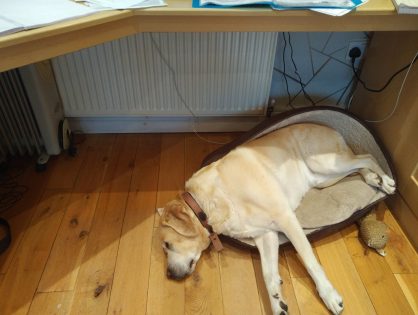 Got a bit of a "boundaries" issue with m...